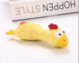 Dog latex toys pet sounding screaming toys chicken spoofing toys bite-resistant 20pcs lot W1263184z