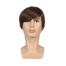 6 Inch Men Wig Short Straight Synthetic Wig for Male Natural Wigs Brown Colour
