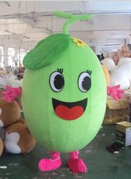 2019 Discount factory sale EVA Material watermelon Mascot Costume Fruit Cartoon Apparel Halloween Birthday party