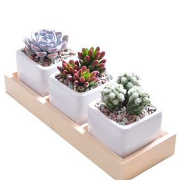 3 Grids Flower Pot Box Tray Wooden Succulent Plant Fleshy Flowerpot Containers Home Garden Decoration