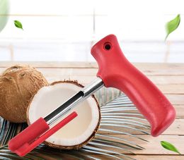 Free Shipping Useful Stainless Steel Coconut Opener Coconut Opening Driller Cut Knife Hole Kitchen Accessories W9256