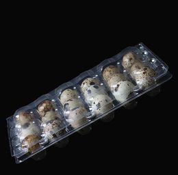 18 Holes 198*36*103cm Quail Eggs Container Plastic Clear Egg Packing Storage Boxes Wholesale Free Shipping SN1199