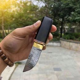 Promotion Small VG10 Damascus Steel Drop Point Blade Ebony Handle Mini Collectalble Knife With Wood Sheath