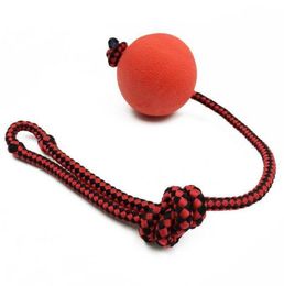 Indestructible Dog Ball Pet Puppy Tug Balls Training Toys Pet Chew Toys Small Size Solid Rubber Balls with Rope New Arrival