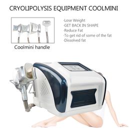 4 handles fat freeze body slimming machine cellulite removal coolmini sculpting equipment with double chin treatment handle