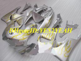 Motorcycle Fairing kit for Honda CBR900RR 919 98 99 CBR 900RR CBR900 1998 1999 ABS Golden flames silver Fairings set+Gifts HS22