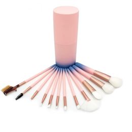 Pink Makeup Brushes For Foundation Powder Eyeshadow Eyeliner Lip Highlighter Cosmetic Brush Tools 12pcs Make Up Brush Set With Plastic Box