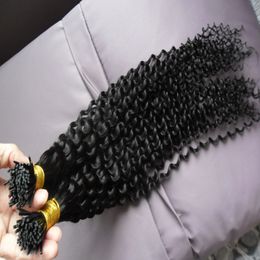 Kinky Curly Virgin Brazilian Human Hair Extensions 100S Pre Bonded Stick I TIP Hair Extensions Italian keratin I TIP Hair Extensions