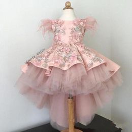 Cute Cheap Blush Pink Pageant Dresses Party Jewel Neck Tulle Lace Appliques Flowers Feather High Low Kids Wedding Flower Girls Dress