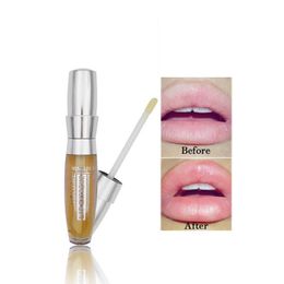 MINISTAR Lip Extreme Clear Gloss 3D Volume Plumping Moisturizing Lipgloss Transparent Profesisonal Lips Makeup with Ginger Oil