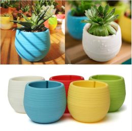 Mini Plastic Flower Pot 7*7cm Succulent Plant Flowerpot Home Garden Office Decor Succulent Plant