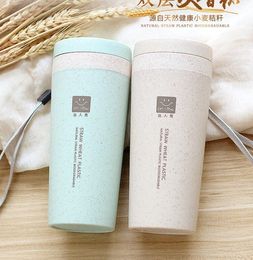 raw water Canada - Raw and healthy materials wheat non leak water cup water drinker for gift offer free logo barcode QC code and QR code printing