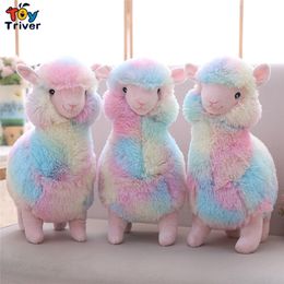 Discount Japanese Cute Baby Japanese Cute Baby 2019 On Sale At Discount Japanese Cute Baby Japanese Cute Baby 2019 On Sale At