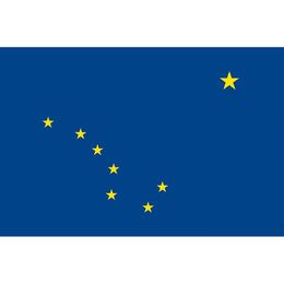 High Quality Alaska State Flag Flying Decoration 3x5 FT Banner 90x150cm Festival Party Gift 100D Polyester Printed Hot selling!