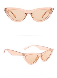Wholesale-2018 New Women Vintage PC Sunglasses 7 Colors e Cat Eye Shape Retrrd Print Sunglasses Frames