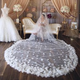 Amazing Beaded Wedding Veils 3M Long Cathedral Length One Layer 3D Appliqued Tulle Bridal Veil For Women Hair Accessories