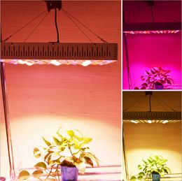 New Design LED grow lights 2000W 3000W COB led grow light greenhouse veg and bloom grows hydroponic systems growing lights