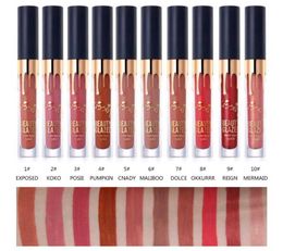 DHL Beauty Glazed Makeup Matte Lipstick Waterproof Lip Gloss Long Lasting Metallic Golden Lip Gloss Easy To Wear Cosmetic