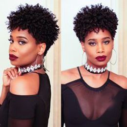 beauty hairstyle ladies brazilian Hair African Americ short cut kinky curly natural wig Simulation Human Hair afro short curly wig for women