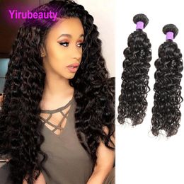 Malaysian Wet And Wavy 2 Bundles Water Wave Curly Unprocessed Human Hair Extensions Two Bundle 10-28inch Weaves