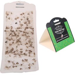 Russia Pest Control 5.6in Pantry Common Kitchen Moths Trap Premium Cloth Attractant Safe Nontoxic Insecticide Green Paper Direct Sale from China Manufacture