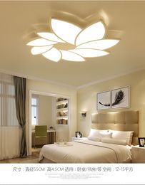 Modern LED Ceiling Lights Dinning room lamps living room illumination kids bedroom fixtures home luminaires chandelier lighting