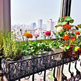 Wall Hanging Flower Pots discount hang flower pots wall | 2017 hang flower pots wall on Wall Hanging Flower Pots discount hang flower pots wall | 2017 hang flower pots wall on