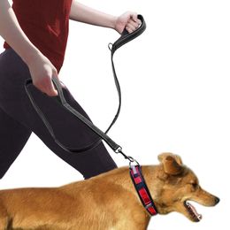 control leash for dogs