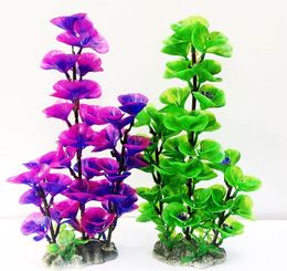 shop plant fish tank