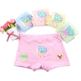 Filles Bleu pâle à pois Bandes Court Culottes Slips 10 Pack 100% coton Filles Bleu pâle à pois Bandes Court Culottes Slips 10 Pack 100% coton