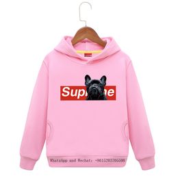 korean dog clothes online