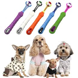 dog toothbrushes in bulk