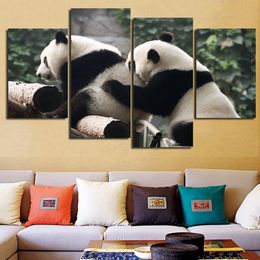 shop panda room decor