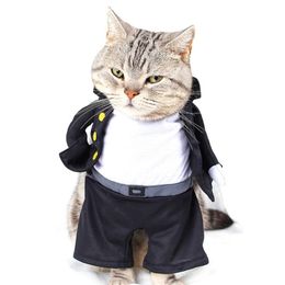 kitten clothes online