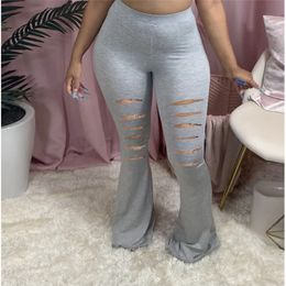 women's sheer yoga pants