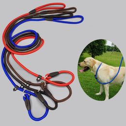 bulk slip leashes
