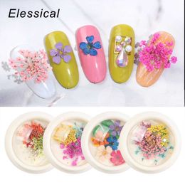 Wholesale Dried Flower Nail Art Buy Cheap In Bulk From China Suppliers With Coupon Dhgate Com