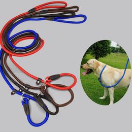 slip leashes for dogs bulk