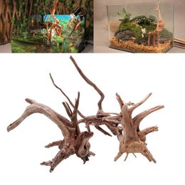 aquarium items online