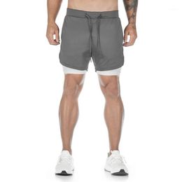 gym half pants