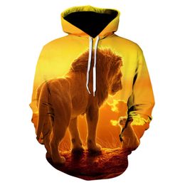 gamiss lion hoodie
