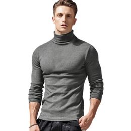 خط الاستواء ساحر جولة وجولة camisa cuello de tortuga - wickedwoodonline.com