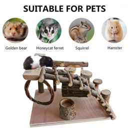 rabbit accessories online