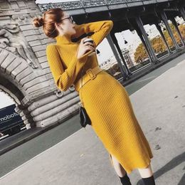 winter one piece dress