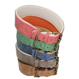 bulk large dog collars