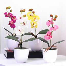 Orchideenvase orquídeas mesa jarrón clara ronda jarrón jarrón jarrón de cristal redondo