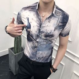 uomini in camicia