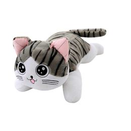 Chat Mignon Bebe Animal En Peluche Vente En Ligne Dhgate Com Chat Mignon Bebe Animal En Peluche Vente En Ligne Dhgate Com