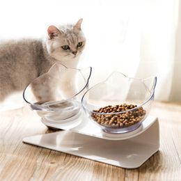 buy cat accessories online