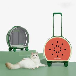 Remise Valise De Chat 21 En Vente Sur Fr Dhgate Com Remise Valise De Chat 21 En Vente Sur Fr Dhgate Com